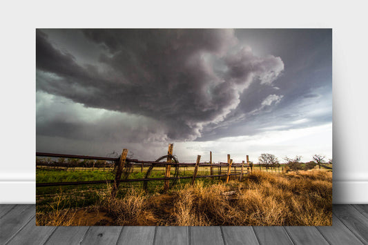 Western metal print of a thunderstorm over rolled barbed wire along a fence on a stormy day in Oklahoma by Sean Ramsey of Southern Plains Photography.