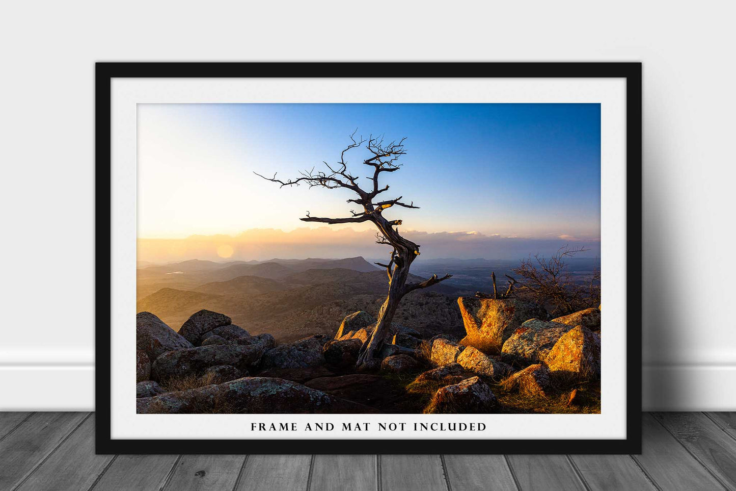 Nature Photo Print | Tree at Summit of Mount Scott Picture | Oklahoma Wall Art | Wichita Mountains Wildlife Refuge Photography | Great Plains Decor