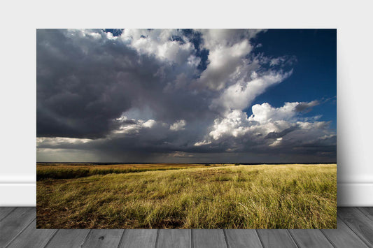 Great Plains metal print wall art of storm clouds brewing over golden prairie grass on a spring day in Oklahoma by Sean Ramsey of Southern Plains Photography.