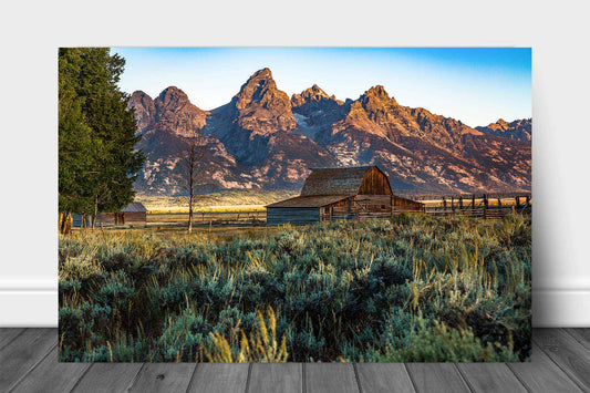 Rocky Mountain metal print on aluminum of Grand Teton overlooking Moulton Barn on an autumn morning in Grand Teton National Park, Wyoming by Sean Ramsey of Southern Plains Photography.