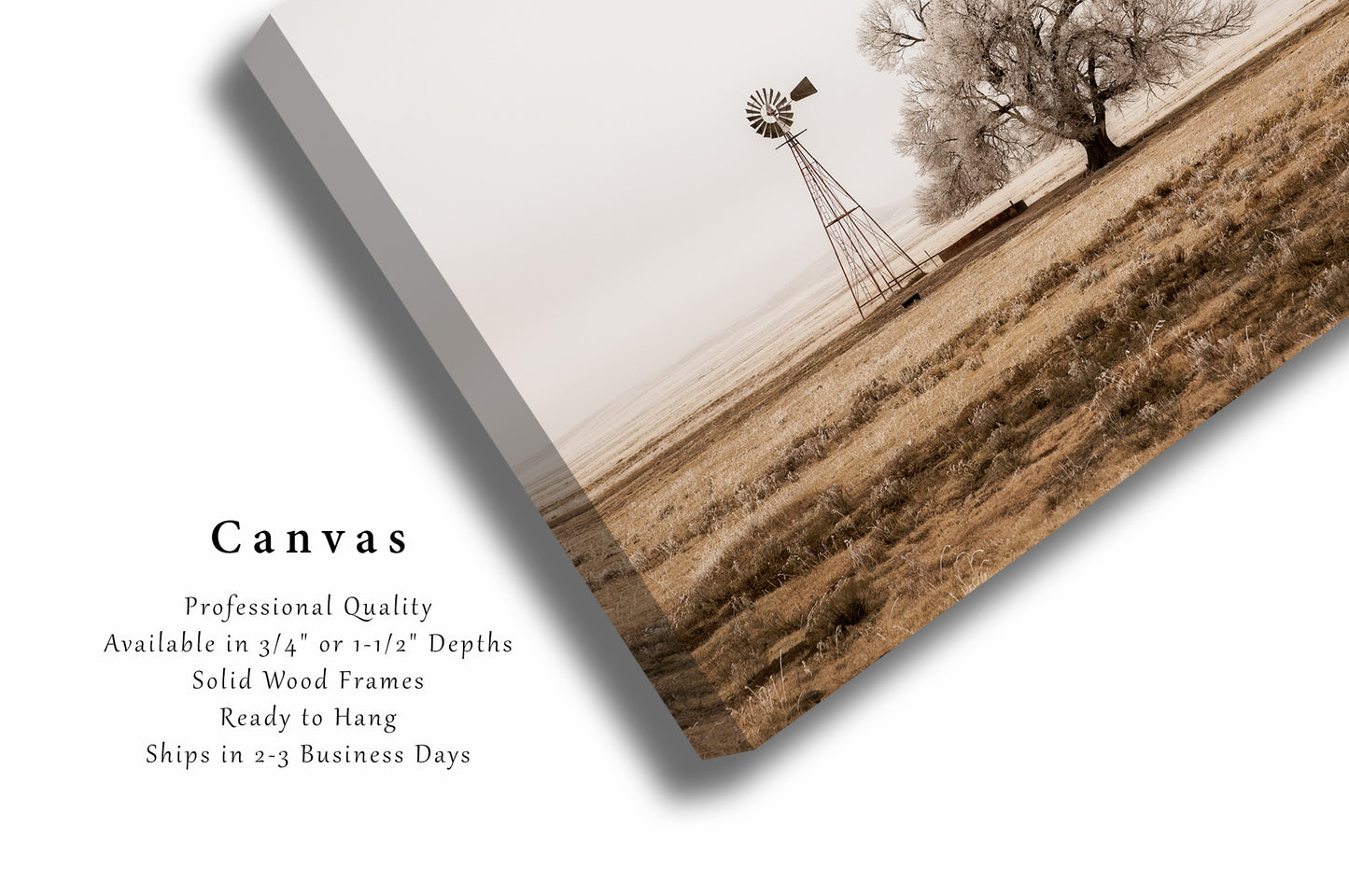 Country Canvas | Windmill and Tree Gallery Wrap | New Mexico Photography | Sepia Wall Art | Farmhouse Decor | Ready to Hang