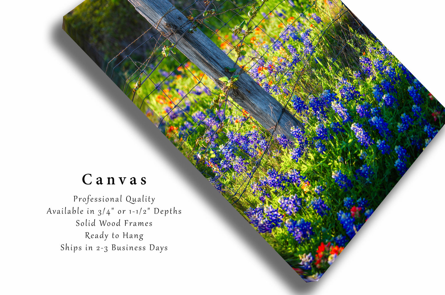 Bluebonnets Canvas | Fence Post Gallery Wrap | Vertical Wildflower Photography | Texas Wall Art | Country Decor | Ready to Hang