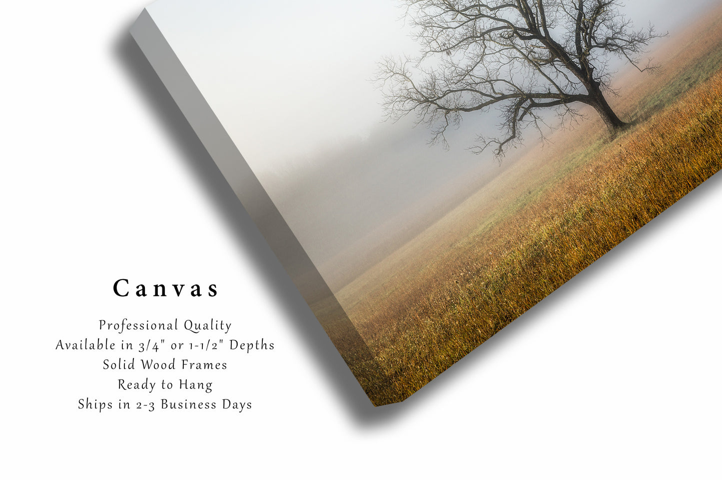 Nature Canvas | Tree Shrouded in Fog Gallery Wrap | Great Smoky Mountains Photography | Cades Cove Wall Art | Tennessee Decor | Ready to Hang