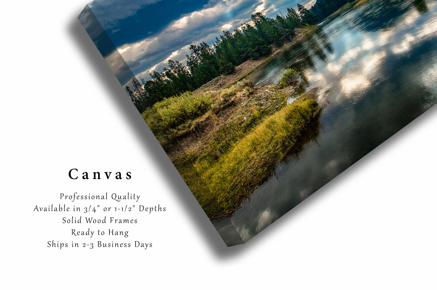 Snake River Canvas | Rocky Mountain Gallery Wrap | Grand Teton National Park Photography | Wyoming Wall Art | Nature Decor | Ready to Hang