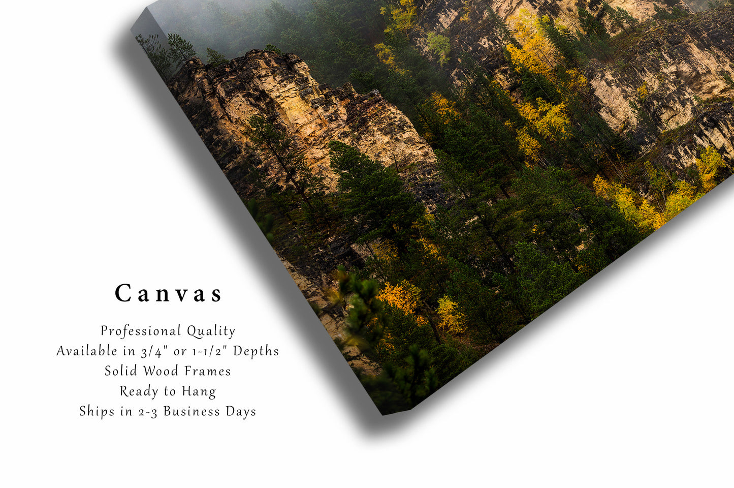 Canvas Wall Art | Spearfish Canyon Picture | Nature Gallery Wrap | South Dakota Photography | Black Hills Decor