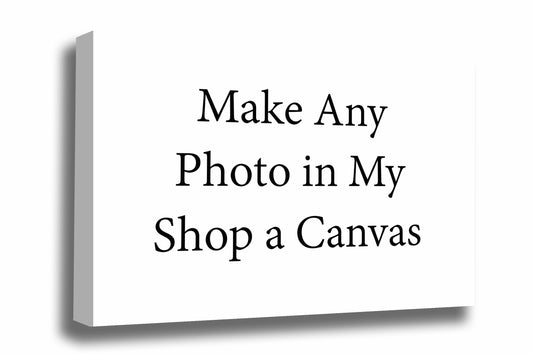 Make any image in the Southern Plains Photography store into a canvas.