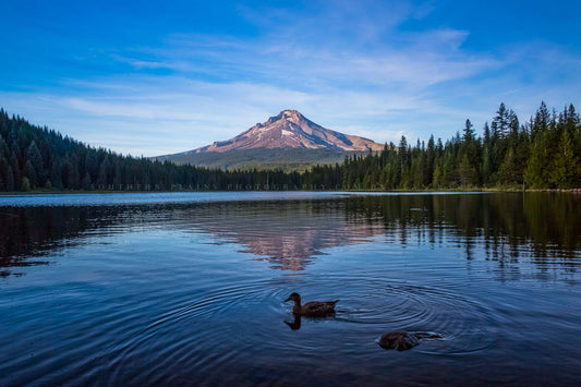 Pacific Northwest photography print of Mount Hood overlooking Trillium Lake on a late summer day in Oregon by Sean Ramsey of Southern Plains Photography.