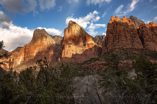 Landscape photography print of sunlight breaking through clouds and shining on the Three Patriarchs in Zion National Park, Utah by Sean Ramsey of Southern Plains Photography.
