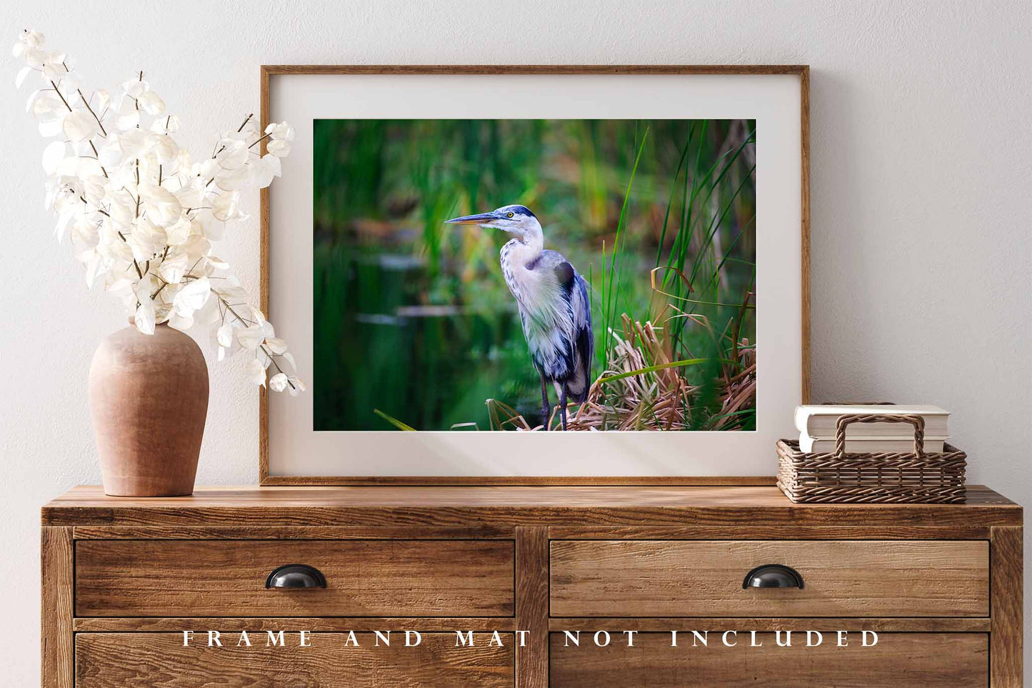 Great Blue Heron Photography Print | Water Bird Picture | Pinckney Island Wall Art | South Carolina Photo | Wildlife Decor | Not Framed