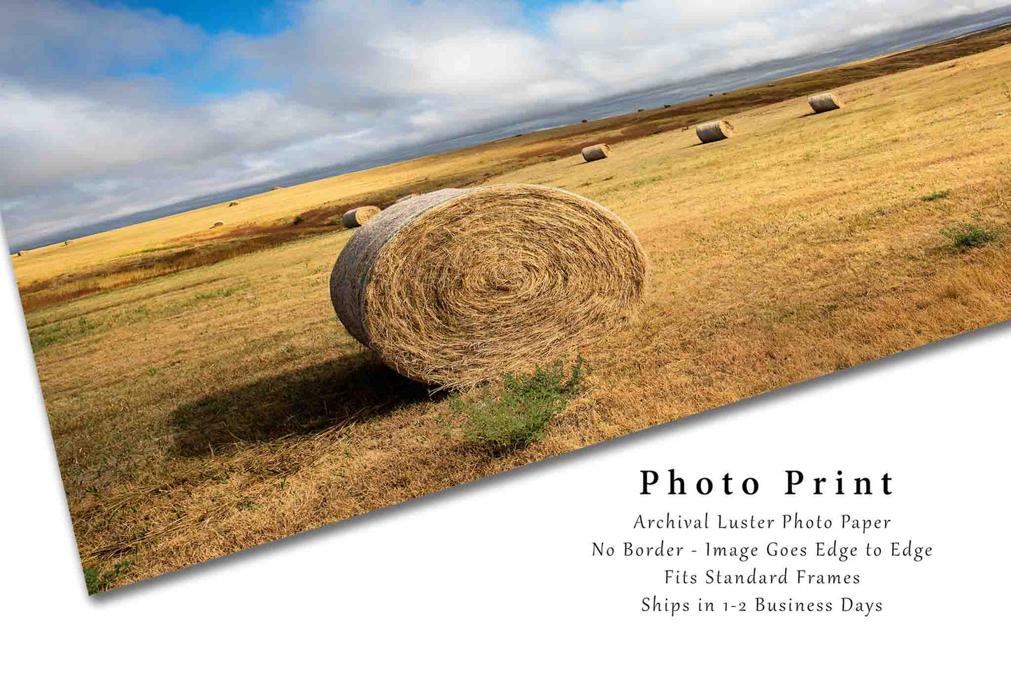 Farm Photography Wall Art Print - Picture of Hay Bales on Prairie Landscape Under Clearing Skies in Western South Dakota Plains Decor