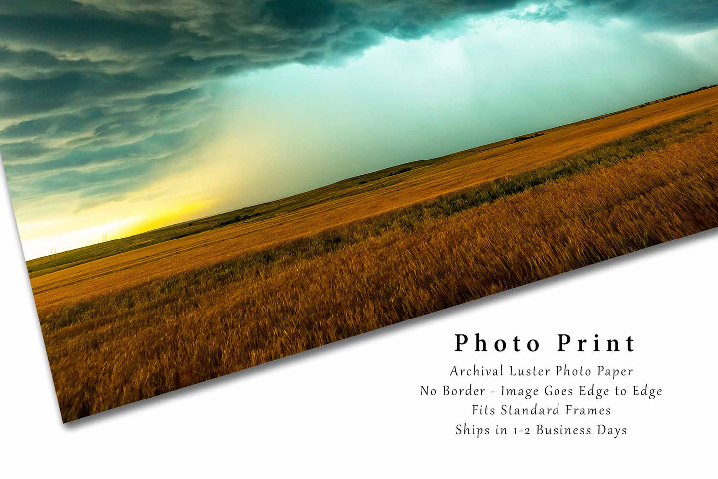Storm Photography Print - Picture of Supercell Thunderstorm Dropping Rain over Wheat Field in Oklahoma - Weather Photo Artwork Nature Decor