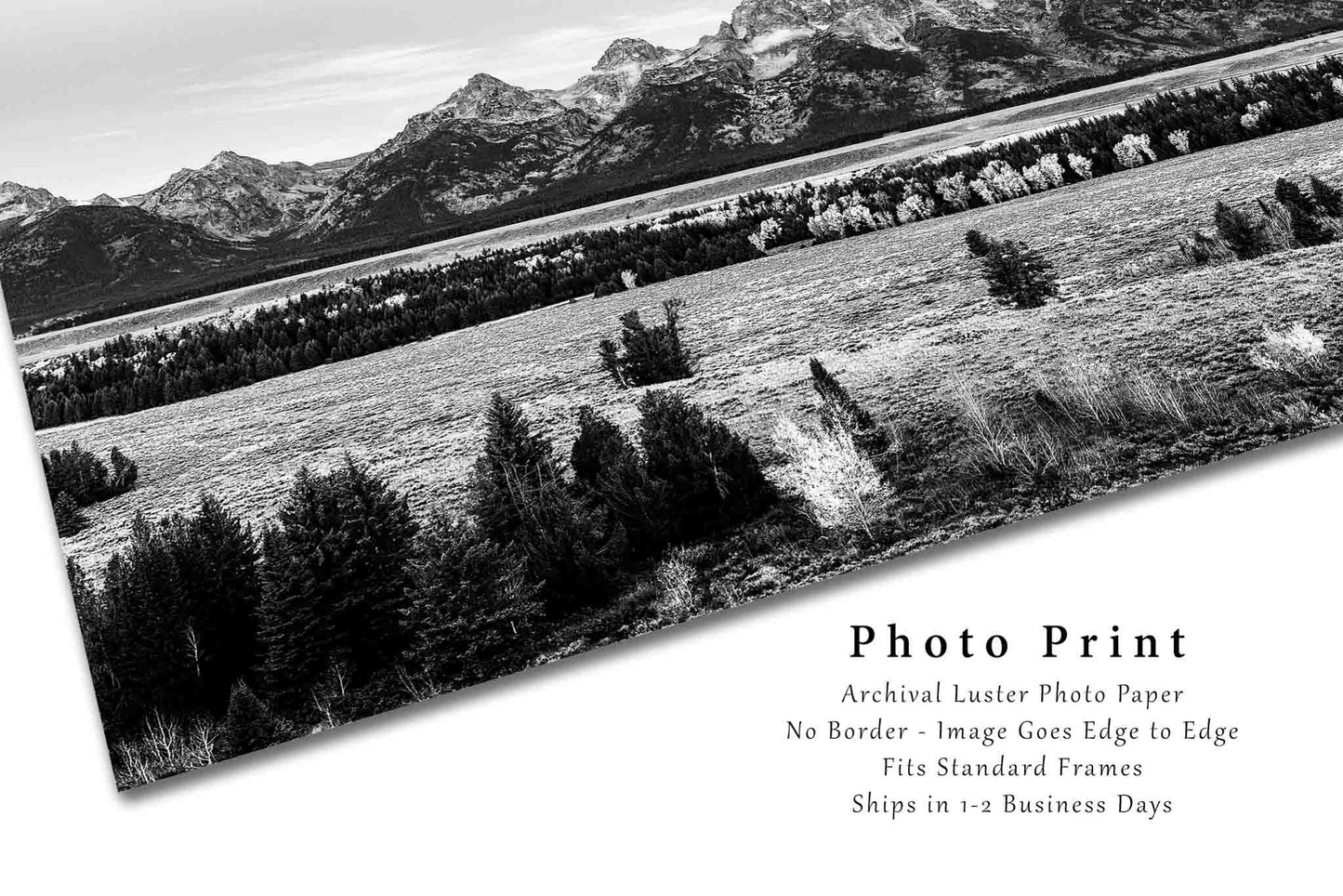 Rocky Mountain Photo Print | Grand Teton Picture | Wyoming Wall Art | Black and White Landscape Photography | Western Decor