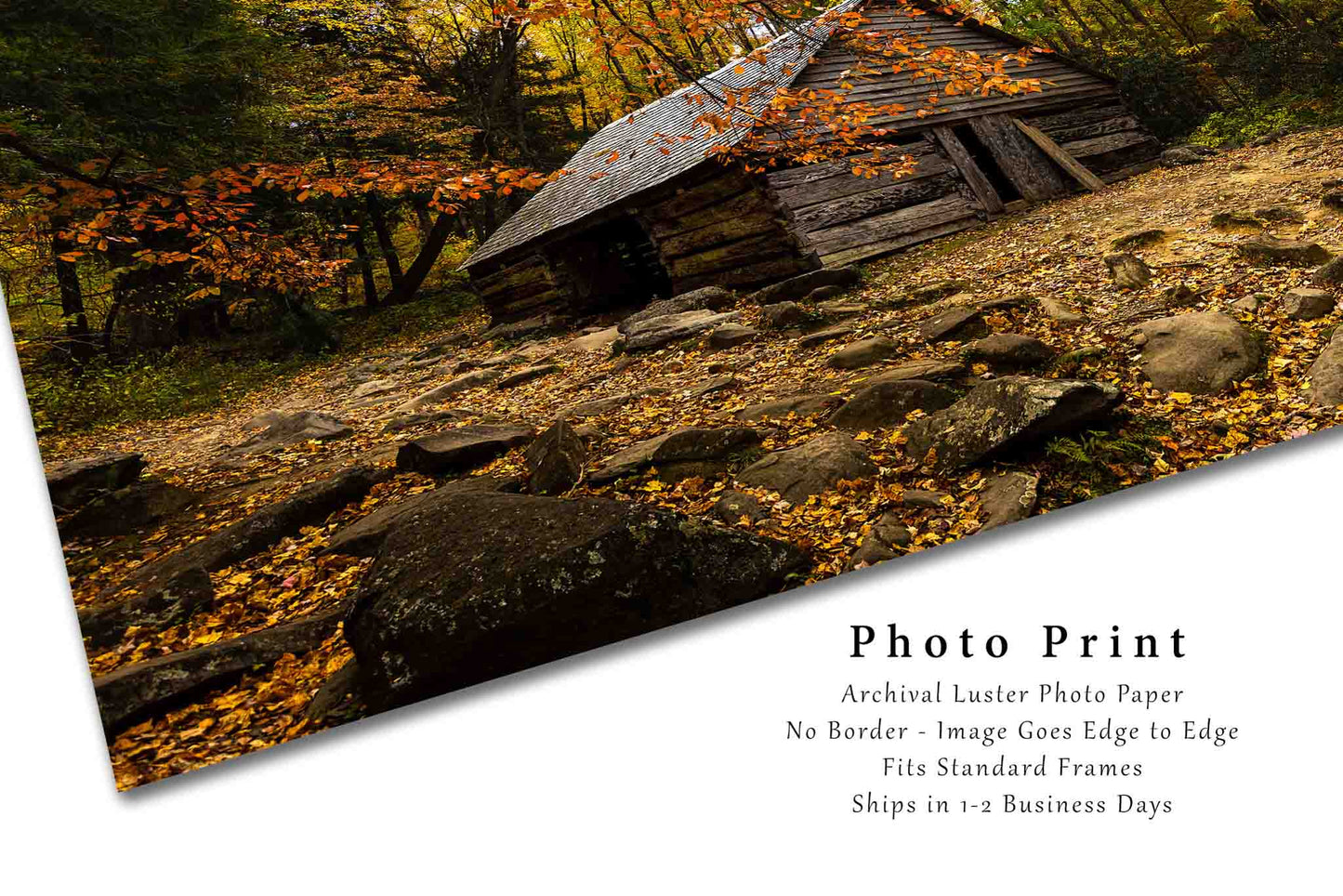 Country Photo Print | Old Barn in Autumn Picture | Gatlinburg Tennessee Wall Art | Great Smoky Mountains Photography | Rustic Farmhouse Decor