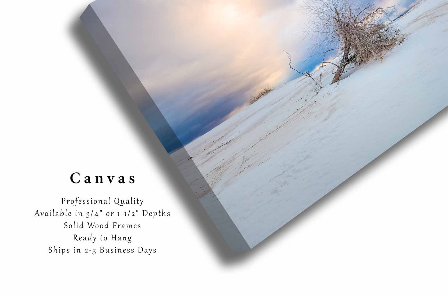 White Sands National Park Canvas | Desert Southwest Gallery Wrap | Tree Photography | New Mexico Landscape Wall Art | Nature Decor | Ready to Hang