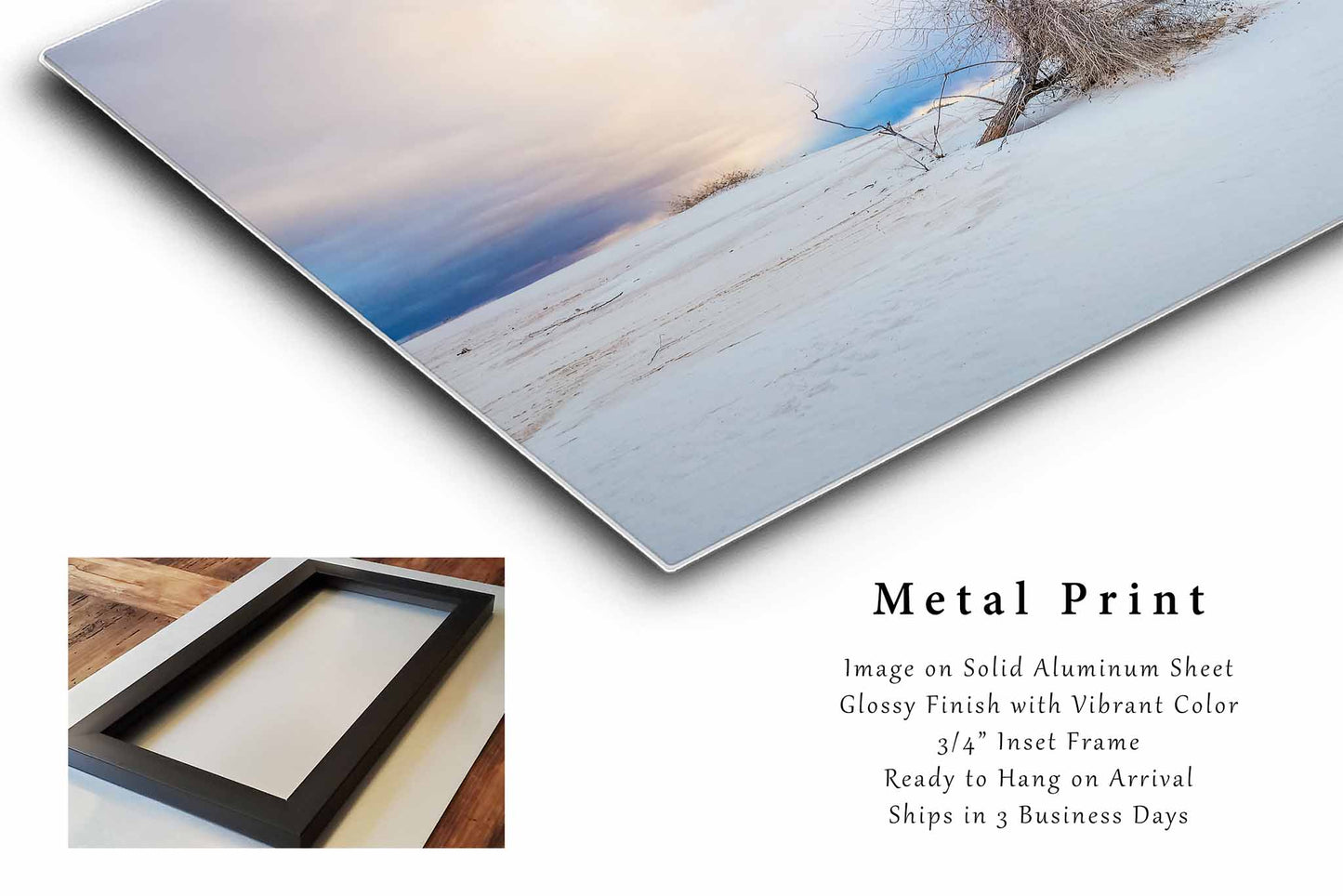 White Sands National Park Metal Print | Desert Southwest Photography | Tree Wall Art | New Mexico Landscape Photo | Nature Decor | Ready to Hang