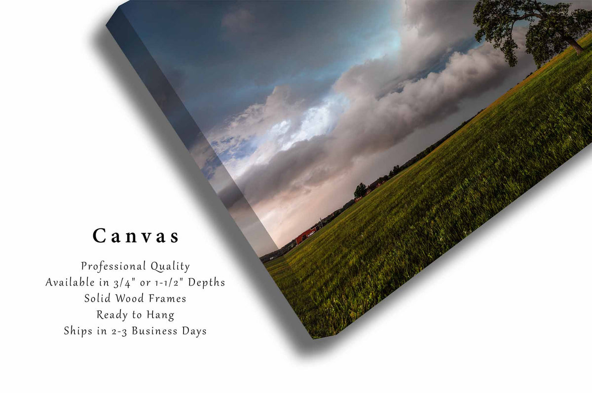 Lone Tree Bending Toward Storm Clouds in Oklahoma Canvas Wall Art | Thunderstorm Photography Weather Decor