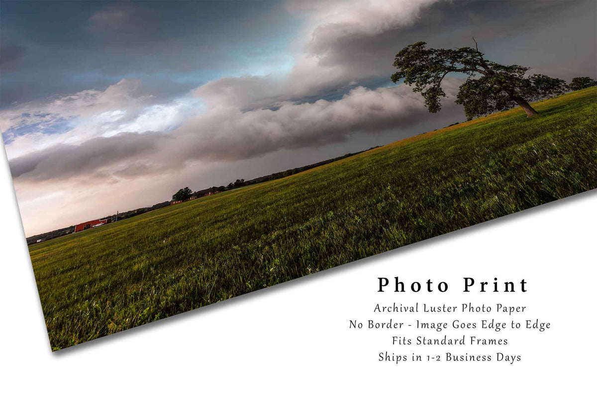 Lone Tree Bending Toward Storm Clouds in Oklahoma Photo Print (Unframed) | Thunderstorm Wall Art Weather Decor