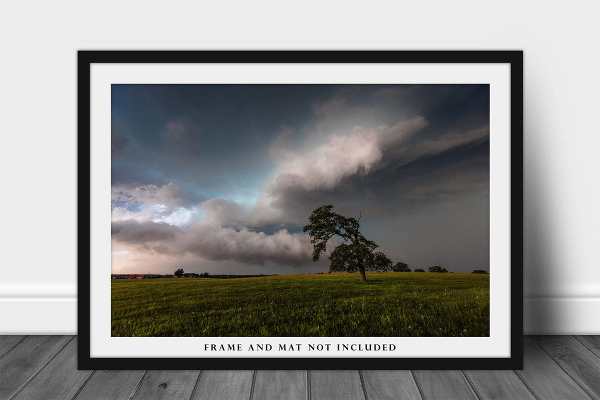 Lone Tree Bending Toward Storm Clouds in Oklahoma Photo Print (Unframed) | Thunderstorm Wall Art Weather Decor