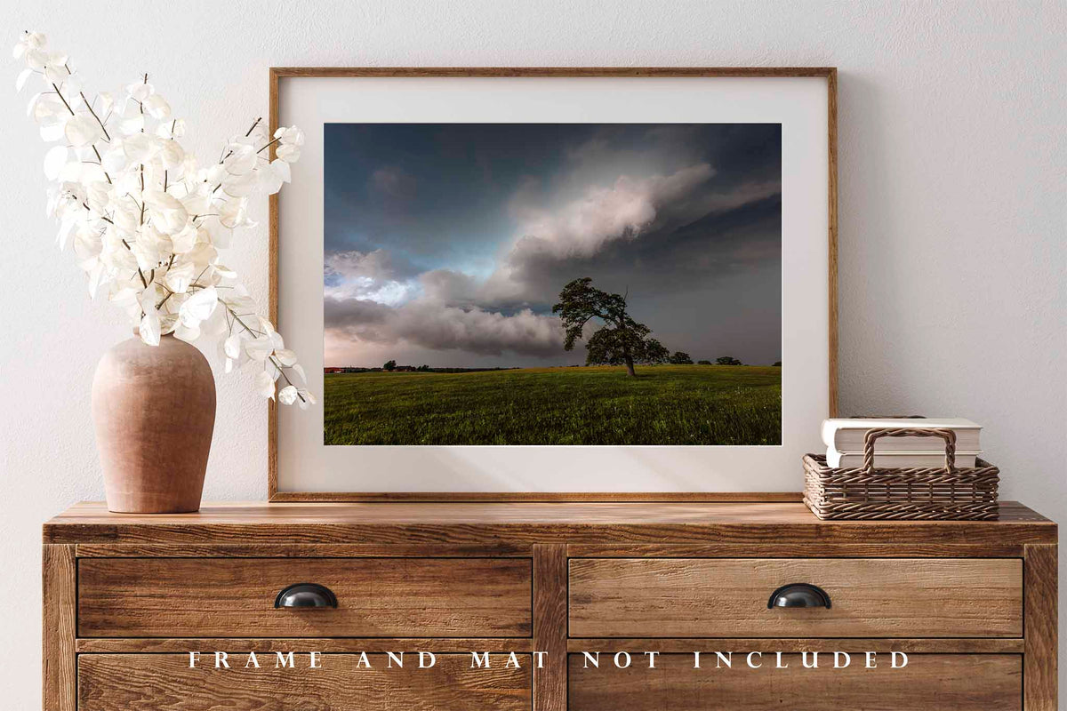 Lone Tree Bending Toward Storm Clouds in Oklahoma Photo Print (Unframed) | Thunderstorm Wall Art Weather Decor