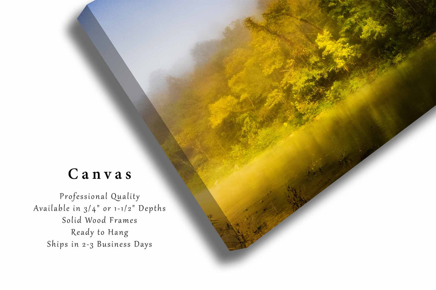 Southeastern Canvas Wall Art (Ready to Hang) Trees Illuminated by Sunlight Along Buffalo National River in Arkansas | Ozark Mountains Photography Nature Decor