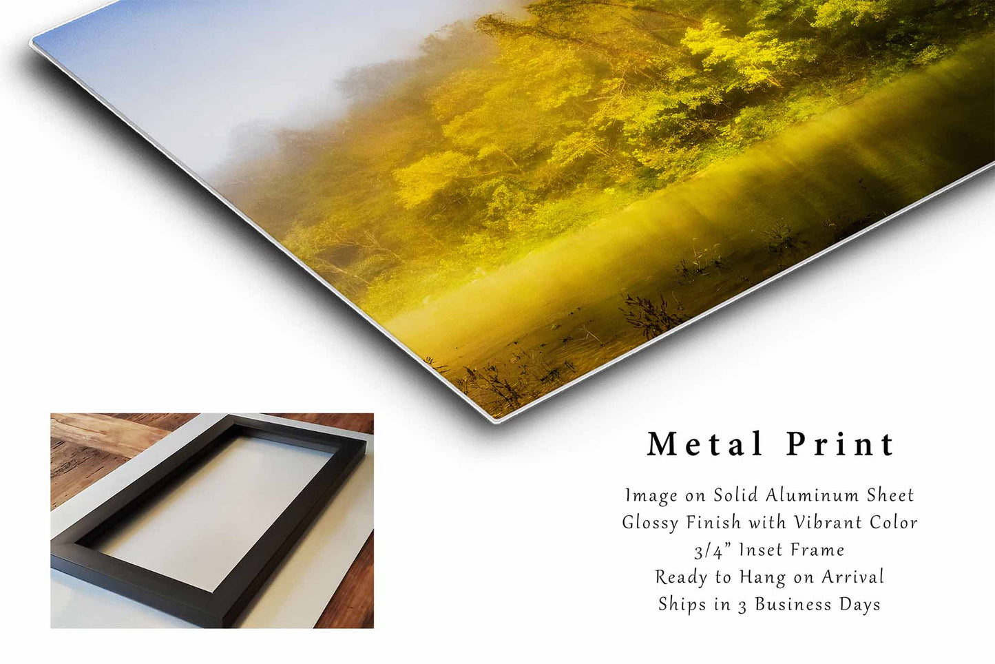 Southeastern Metal Print (Ready to Hang) Trees Illuminated by Sunlight Along Buffalo National River in Arkansas | Ozark Mountains Wall Art Nature Decor