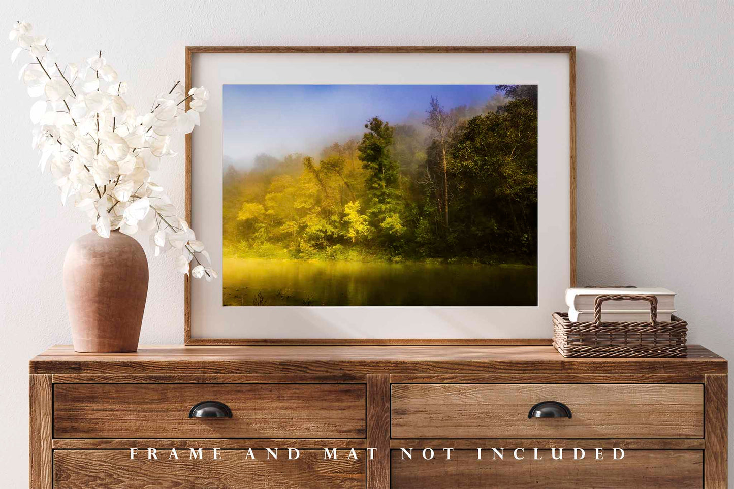 Southeastern Photography Print (Unframed) Trees Illuminated by Sunlight Along Buffalo National River in Arkansas | Ozark Mountains Wall Art Nature Decor