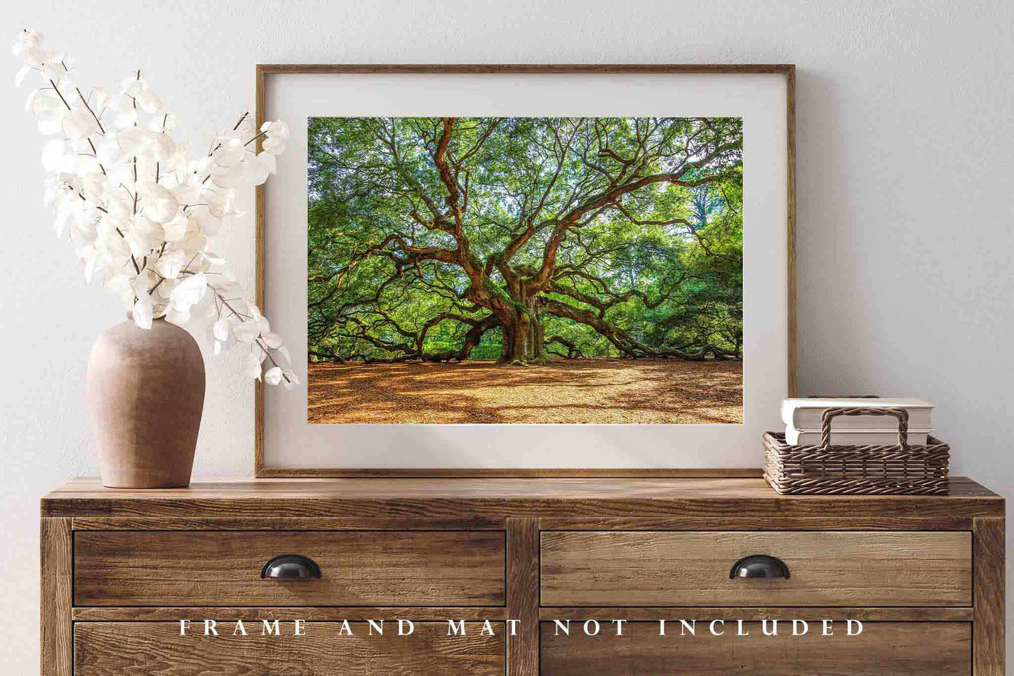 Angel Oak Tree Photography Print | Lowcountry Picture | Charleston South Carolina Wall Art | Southern Photo | Nature Decor | Not Framed