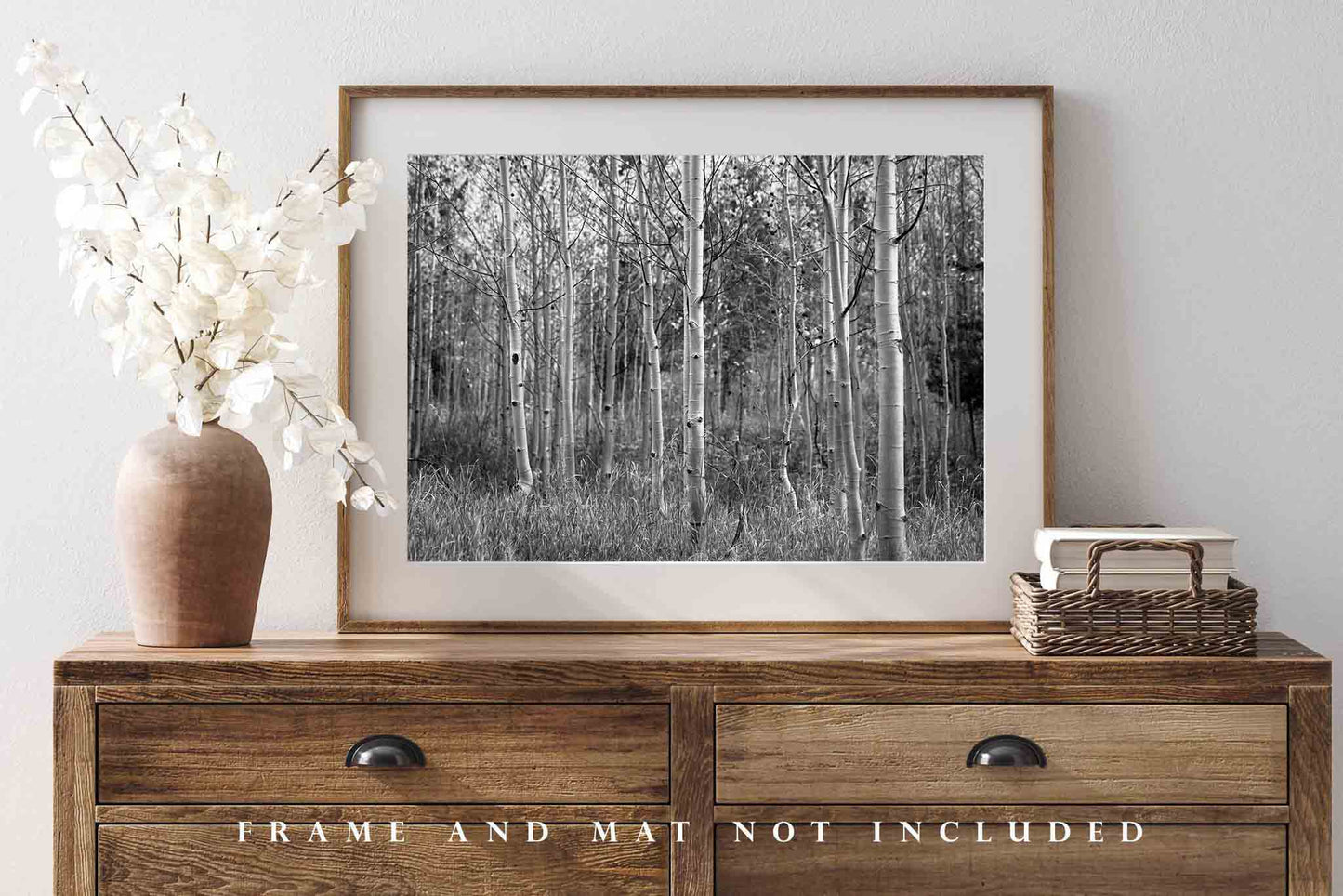 Black and White Photography Art Print - Wall Art Picture of Fall Aspen Trees in Colorado Forest Western Decor 4x6 to 40x60