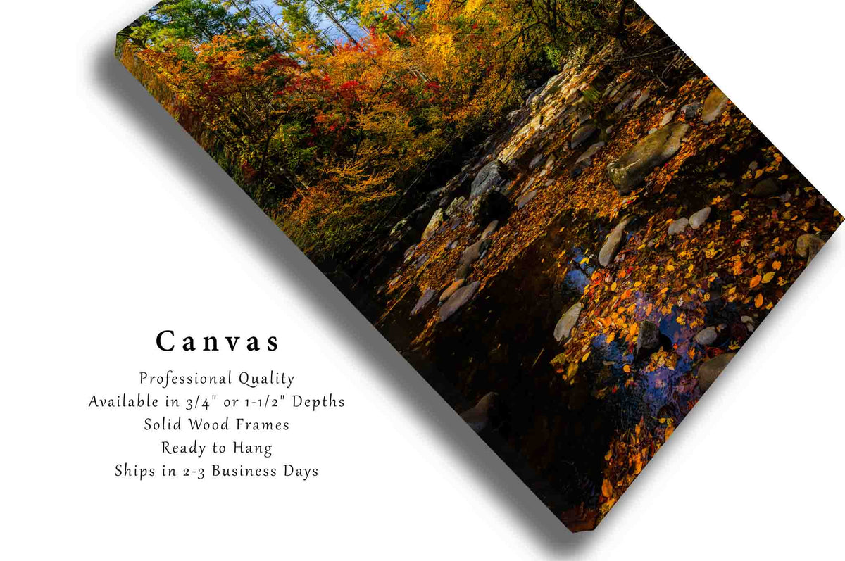 Fall Forest in North Carolina Canvas Wall Art | Great Smoky Mountains Landscape Photography Vertical Nature Decor
