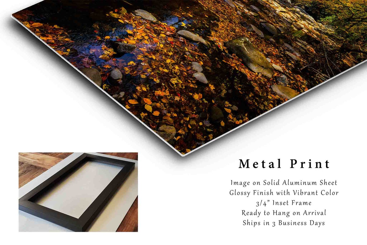 Fall Forest in North Carolina Metal Print Wall Art | Great Smoky Mountains Landscape Photography Vertical Nature Decor
