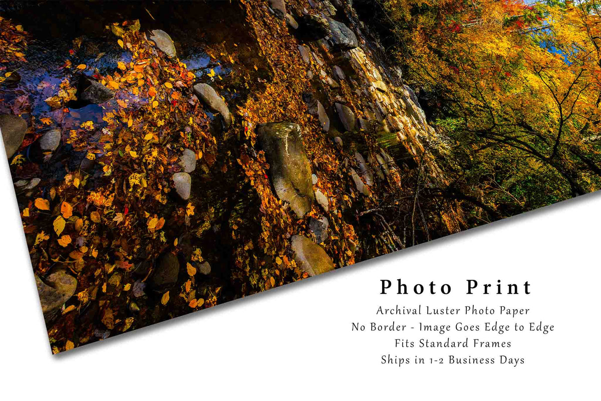 Fall Forest in North Carolina Photo Print (Unframed) | Great Smoky Mountains Landscape Wall Art Vertical Nature Decor