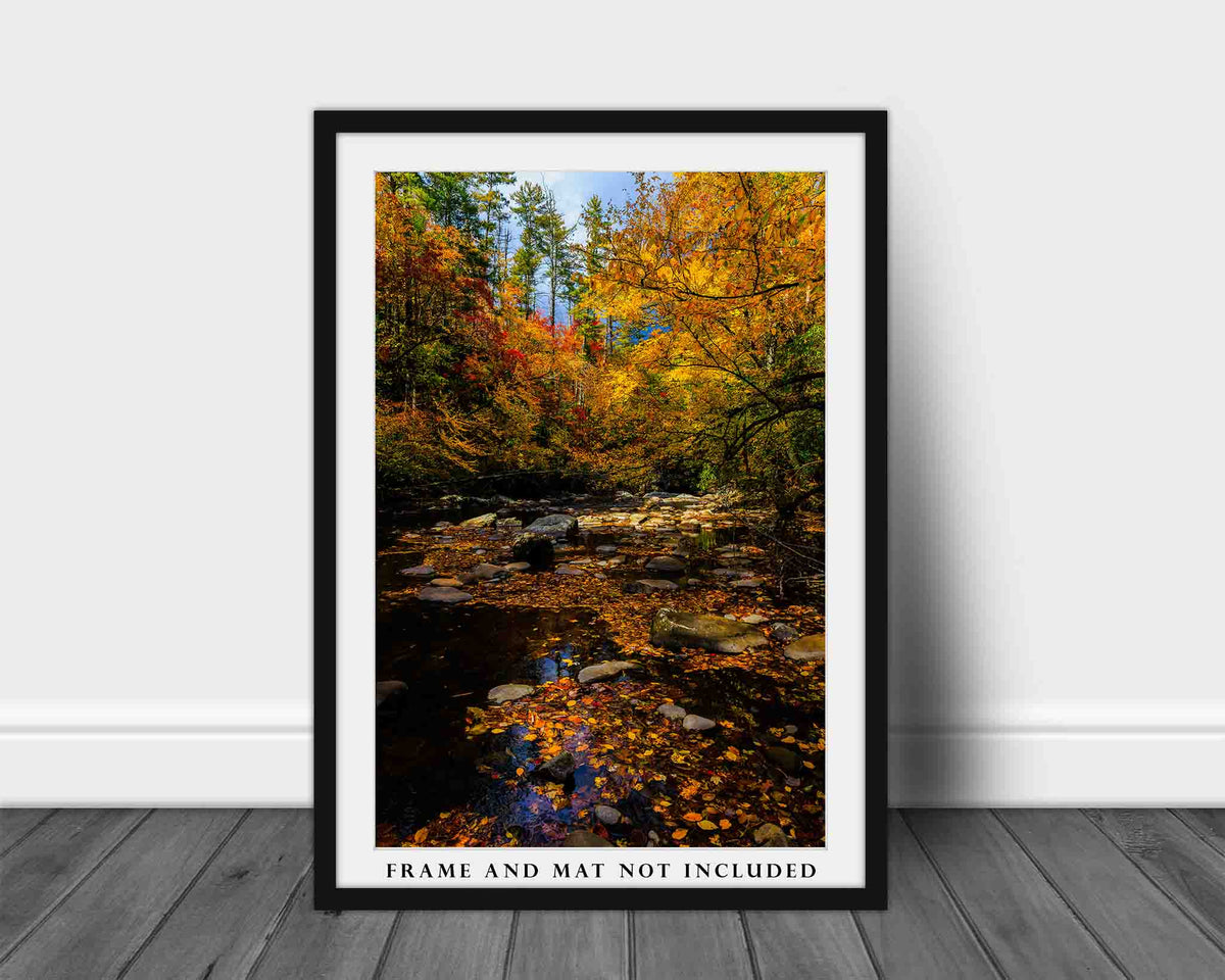 Fall Forest in North Carolina Photo Print (Unframed) | Great Smoky Mountains Landscape Wall Art Vertical Nature Decor