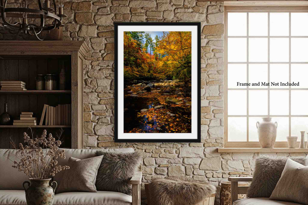 Fall Forest in North Carolina Photo Print (Unframed) | Great Smoky Mountains Landscape Wall Art Vertical Nature Decor