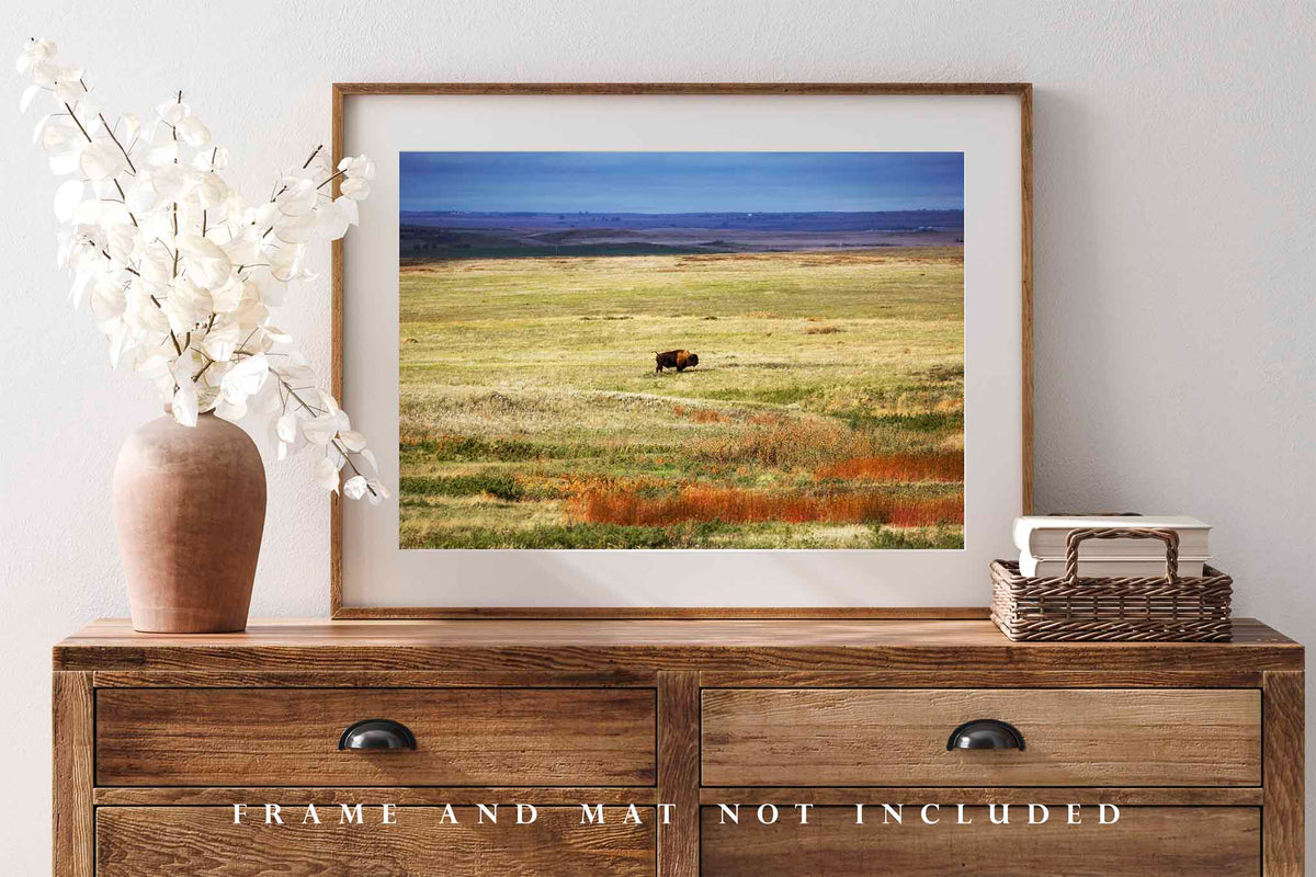 Bison Standing in Vast Open Prairie in South Dakota Photo Print (Unframed) | Buffalo Wall Art Western Decor