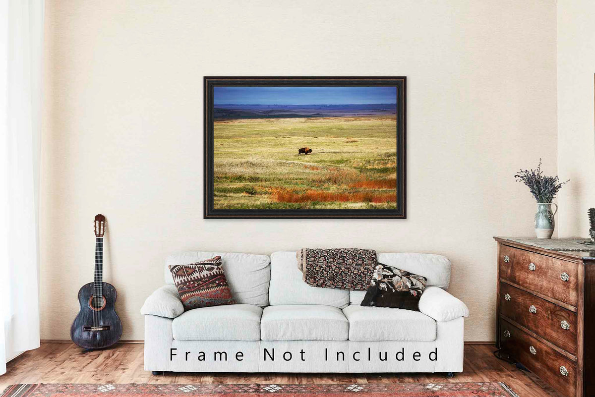 Bison Standing in Vast Open Prairie in South Dakota Photo Print (Unframed) | Buffalo Wall Art Western Decor