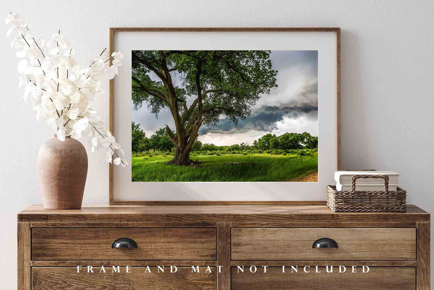 Country Photography Print (Not Framed) Picture of Large Cottonwood Tree and Storm Clouds in Texas Thunderstorm Wall Art Nature Decor