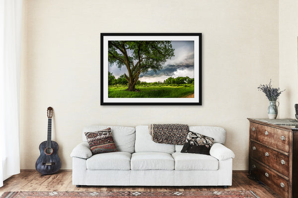 Cottonwood Tree Framed Print | Storm Wall Art | Great Plains Photography | Texas Photo | Nature Decor