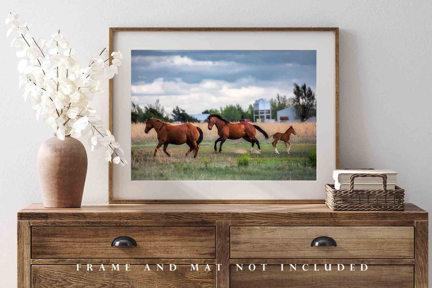 Equine Photography Print (Not Framed) Picture of Stallion, Mare and Colt Breaking into Gallop on Farm in Texas Horse Wall Art Western Decor
