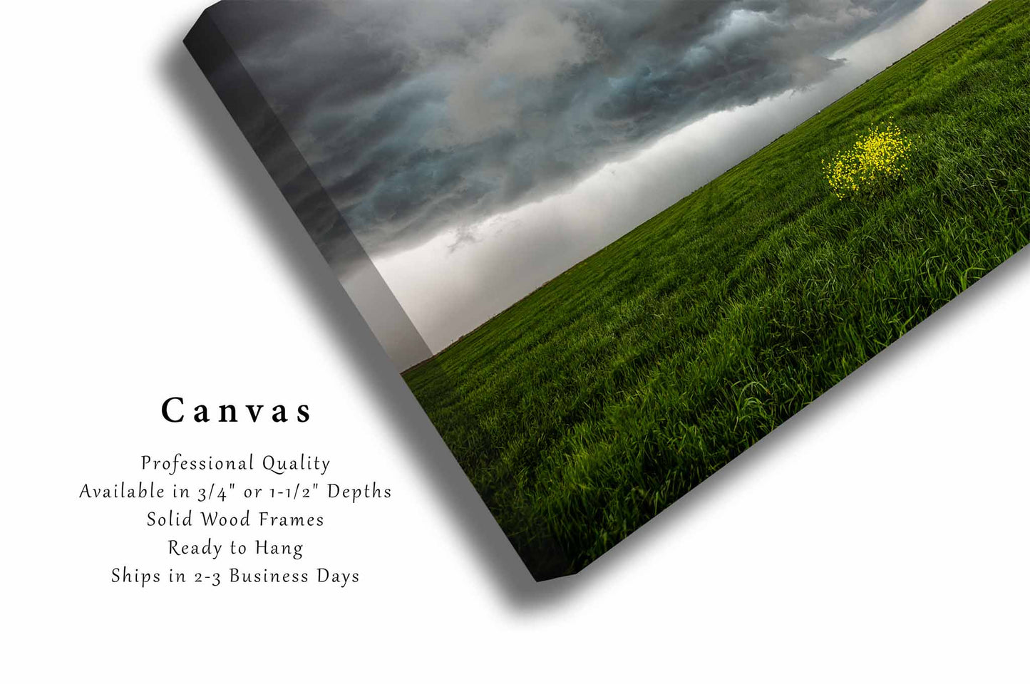 Storm Canvas Wall Art (Ready to Hang) Yellow Wildflowers in Green Field in Texas | Stormy Sky Photography Country Decor