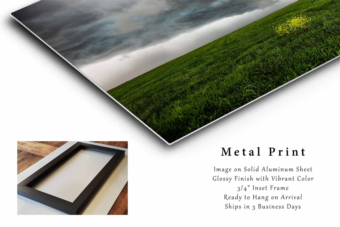 Storm Metal Print (Ready to Hang) Yellow Wildflowers in Green Field in Texas | Stormy Sky Wall Art Country Decor