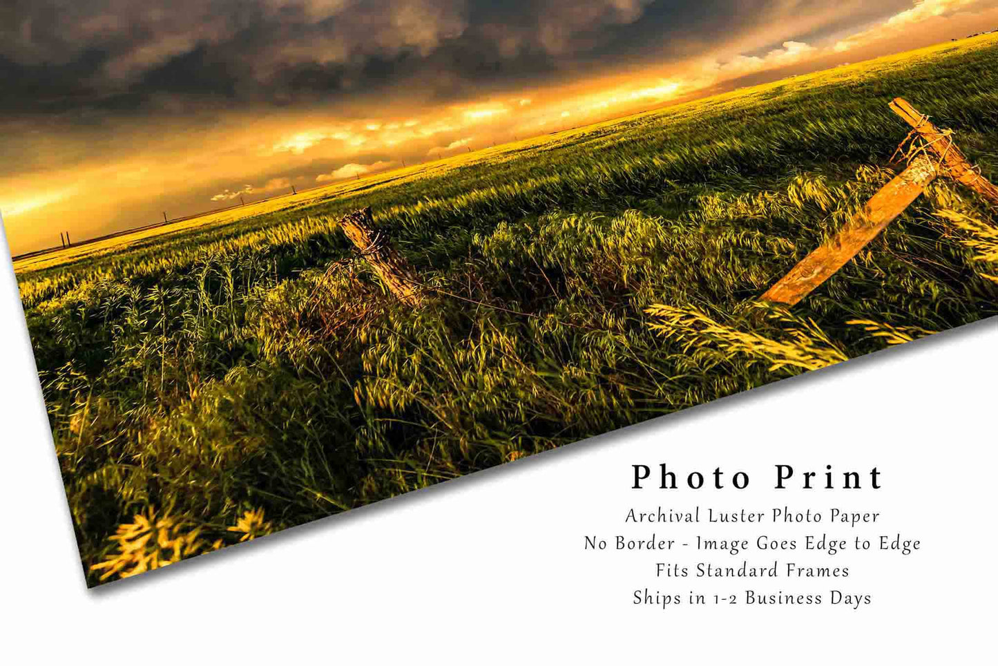 Fence Post and Wheat Field Photography Print | Stormy Sky Picture | Country Wall Art | Kansas Photo | Farmhouse Decor | Not Framed