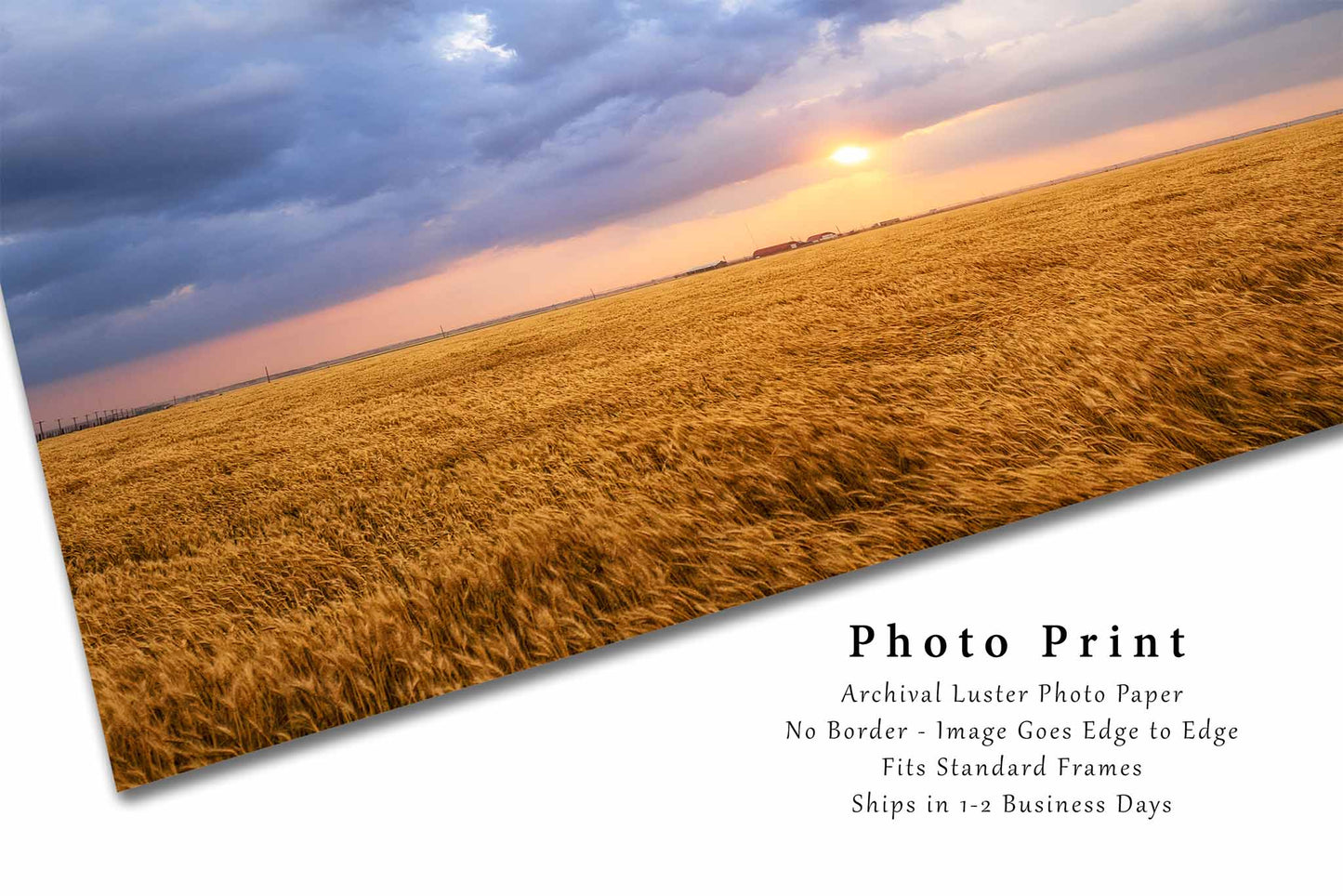 Sun Through Storm Clouds Photography Print | Storm Clouds Picture | Golden Wheat Field Wall Art | Oklahoma Sunset Photo | Farmhouse Decor | Not Framed