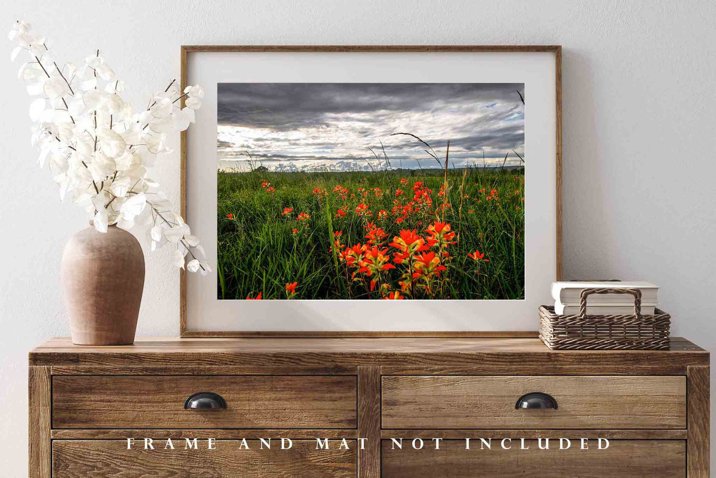Wildflower Photography Print (Not Framed) Picture of Indian Paintbrush on Stormy Day in Oklahoma Flower Wall Art Nature Decor