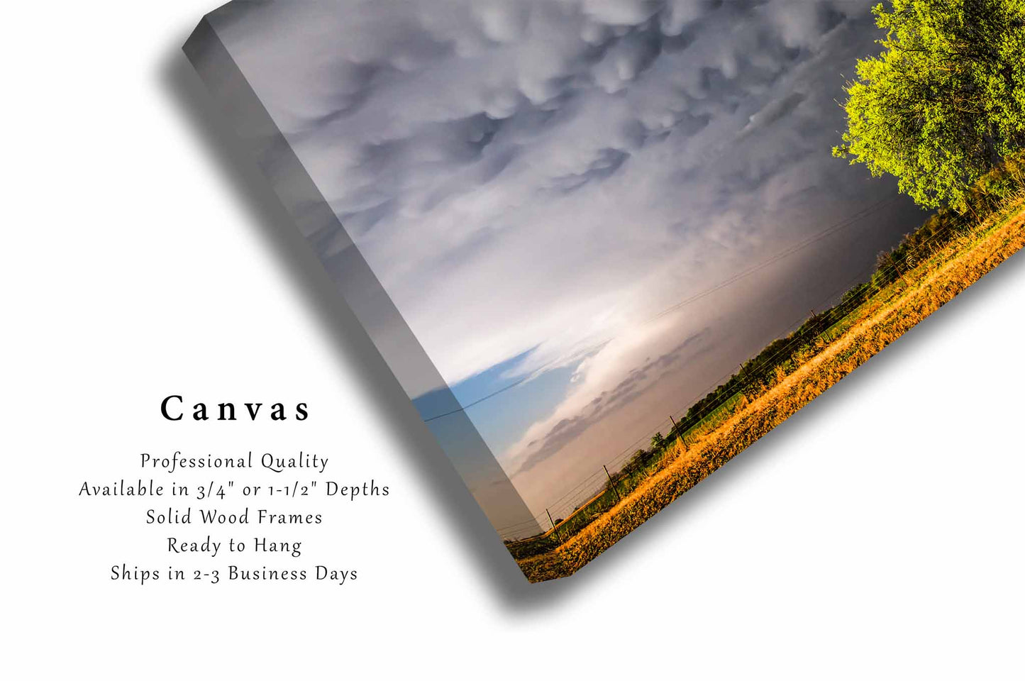 Mammatus Clouds Canvas | Sunlit Tree Gallery Wrap | Stormy Sky Photography | Oklahoma Wall Art | Nature Decor | Ready to Hang