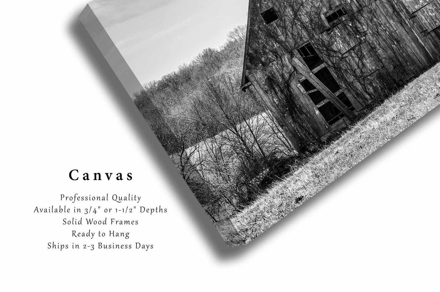 Barn Canvas | Black and White Gallery Wrap | Farm and Country Photography | Missouri Landscape Wall Art | Farmhouse Decor | Ready to Hang