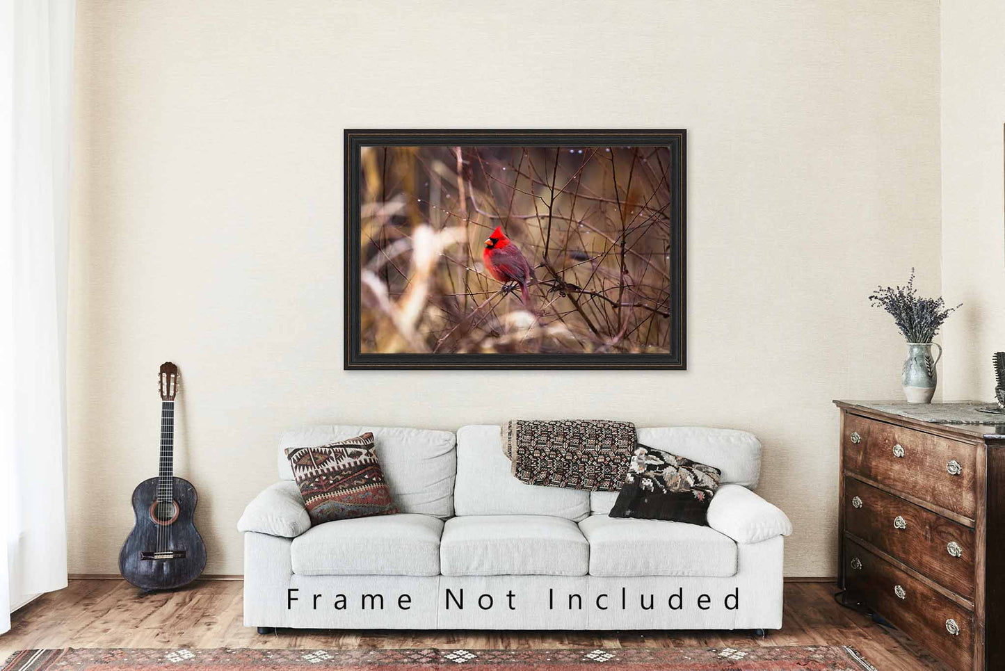 Cardinal Photography Print | Bird Picture | Wildlife Wall Art | Oklahoma Photo | Nature Decor | Not Framed