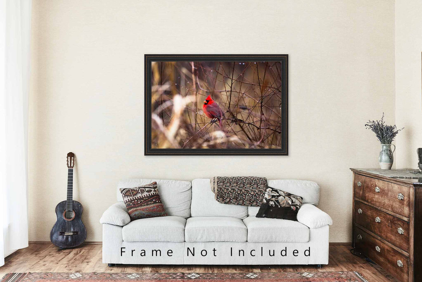 Bird Photo Print | Cardinal Picture | Oklahoma Wall Art | Wildlife Photography | Nature Decor