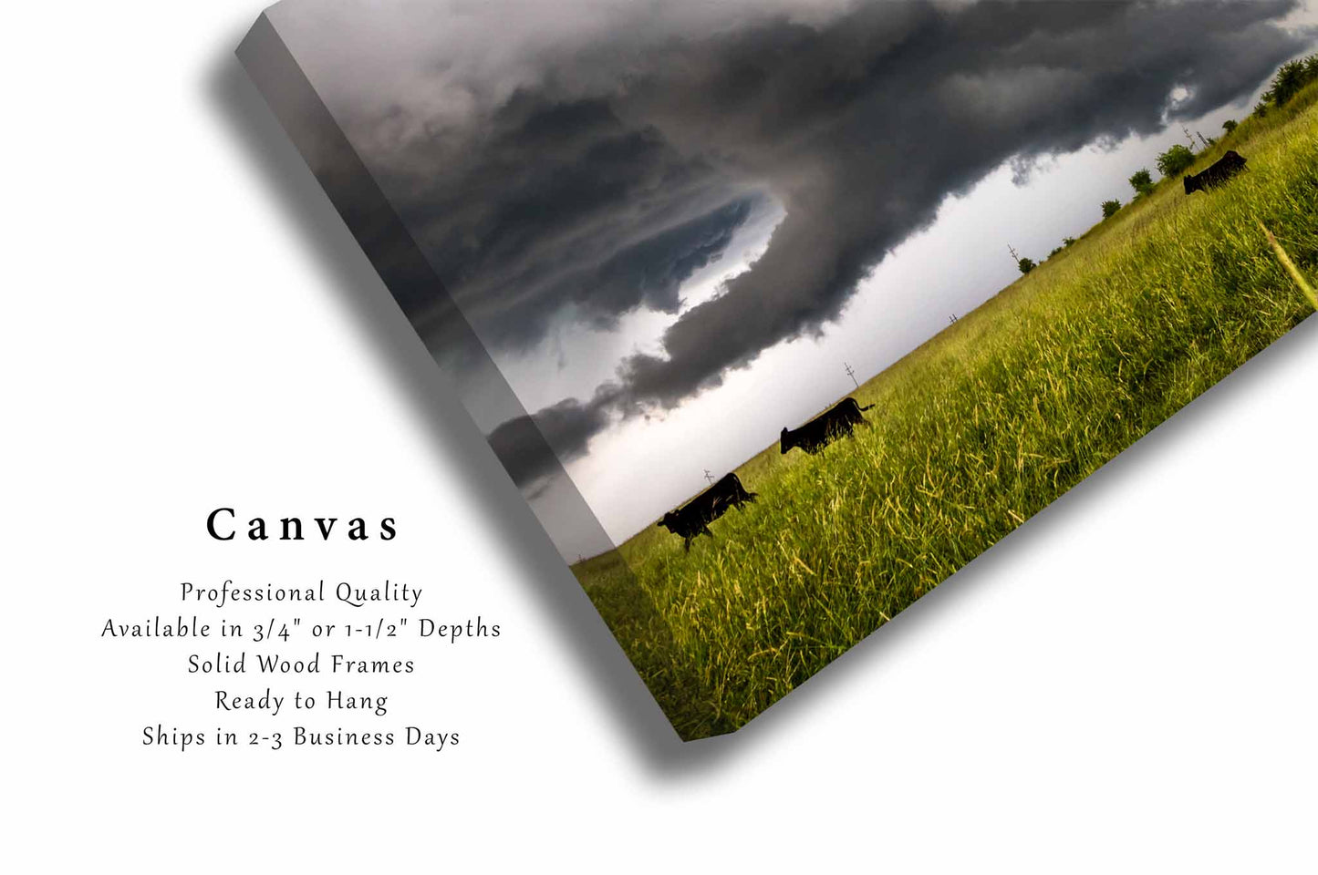 Cattle Drive | Cows and Supercell Thunderstorm Canvas Wall Art | Kansas Country Storm Photography