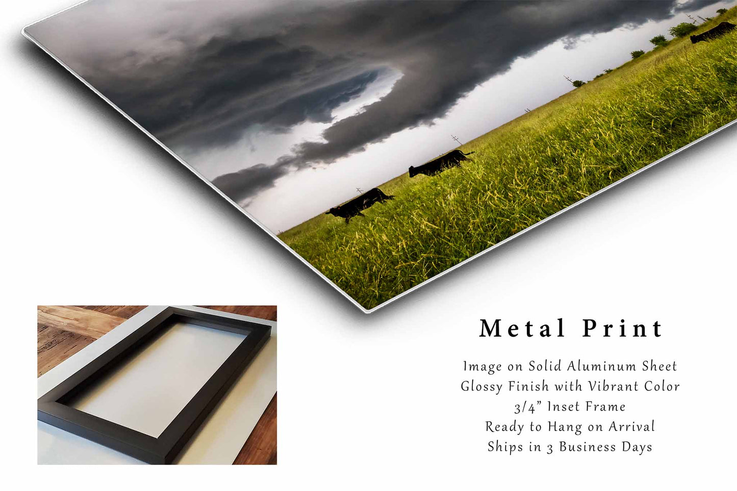Cattle Drive | Cows and Supercell Thunderstorm Metal Print Wall Art | Kansas Country Storm Photography