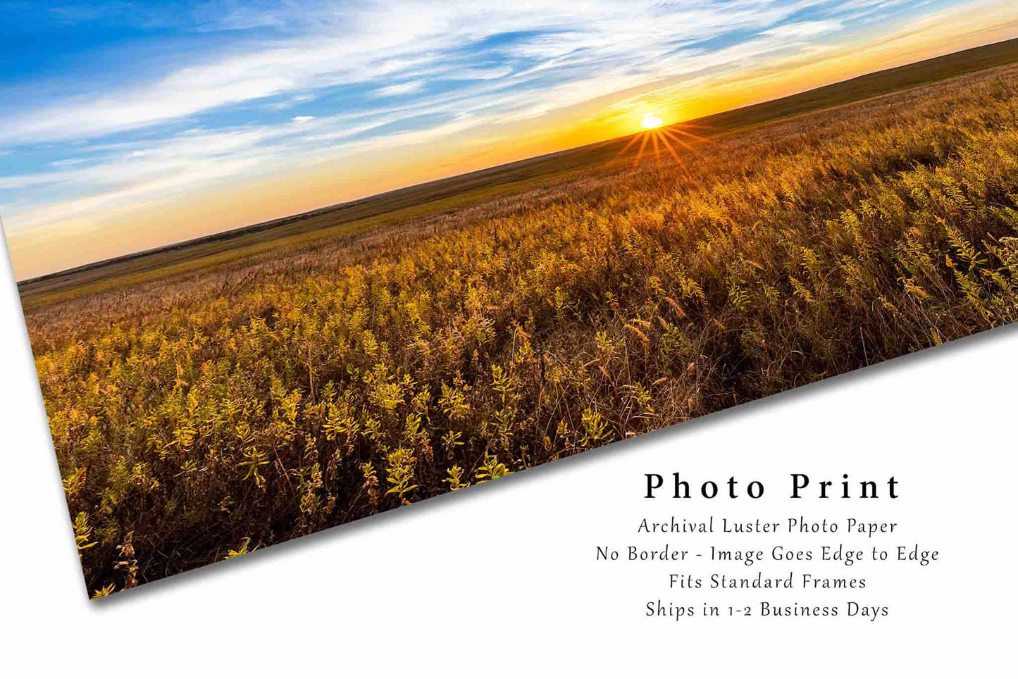 Tallgrass Prairie Photography Print | Sunset Picture | Great Plains Wall Art | Oklahoma Photo | Nature Decor | Not Framed